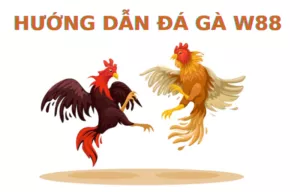 w88 đá gà