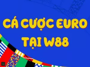 hướng dẫn tham gia cá độ bóng đá mùa giải euro tại w88